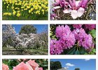 02 Botanical Gardens.jpg